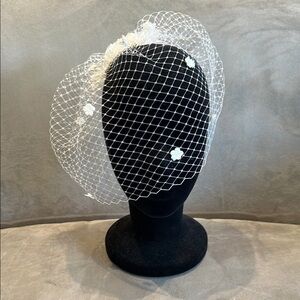 Elegant White Birdcage Veil